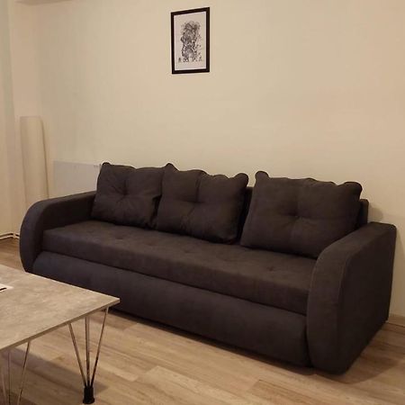 Youth Central Apartment Târgu-Mureş Extérieur photo