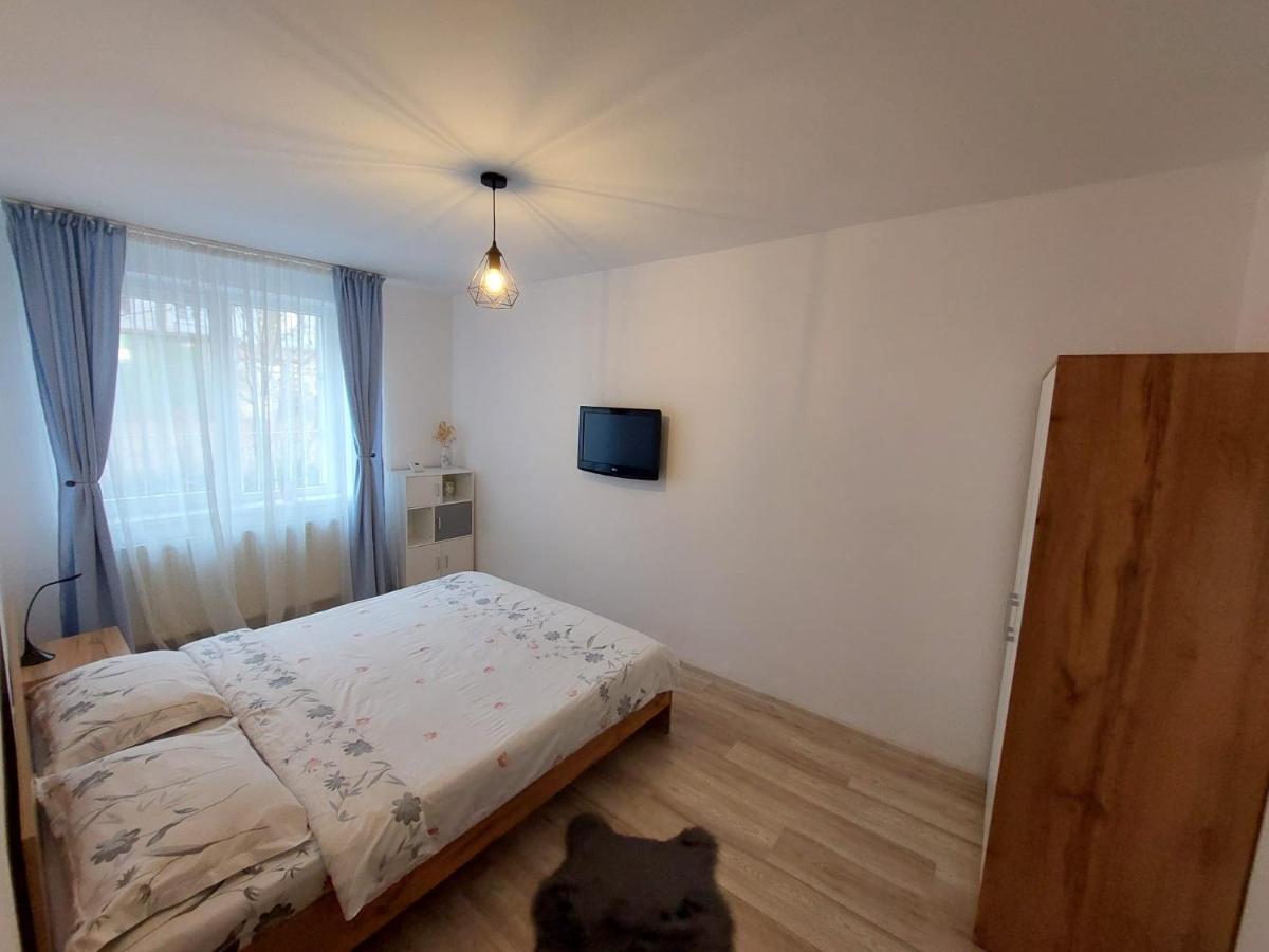 Youth Central Apartment Târgu-Mureş Extérieur photo